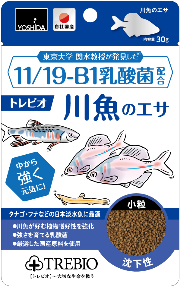 11/19-B1乳酸菌配合トレビオ川魚のエサ